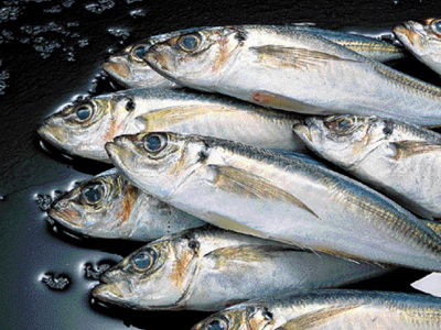 Μην ψαρώνεις!